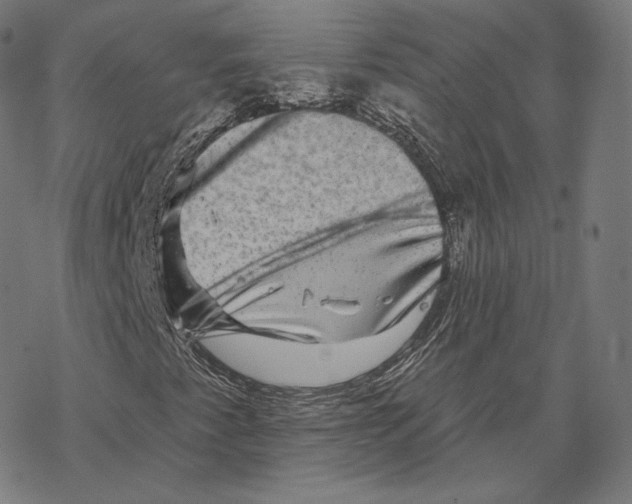 X0000067861345200605111723
