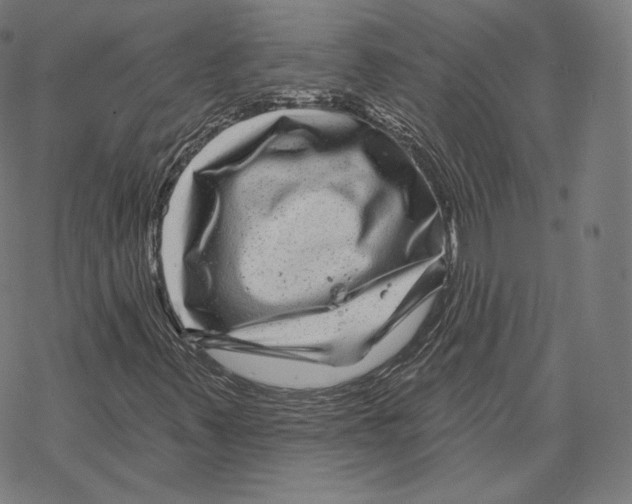 X0000067861347200605111723