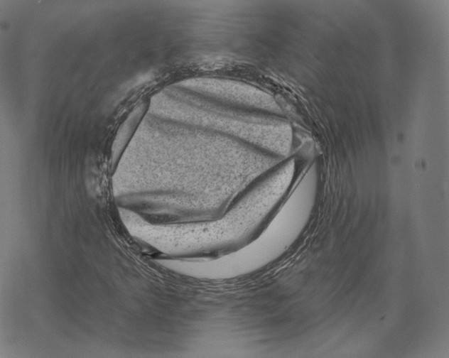 X0000067861349200605111723