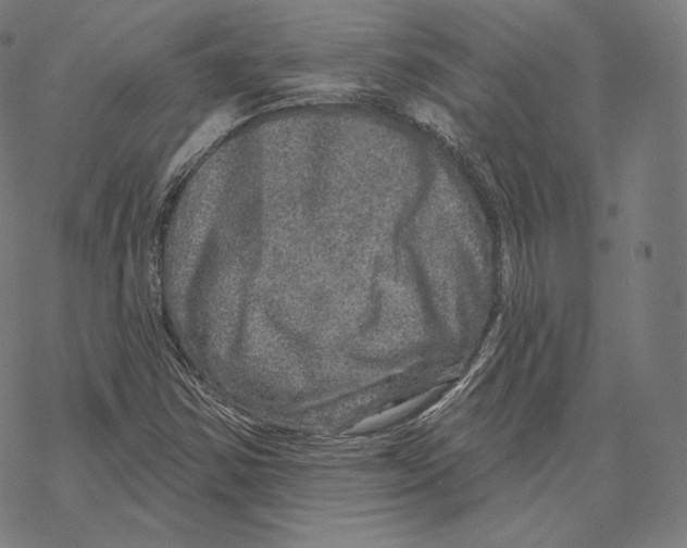 X0000067861354200605111723