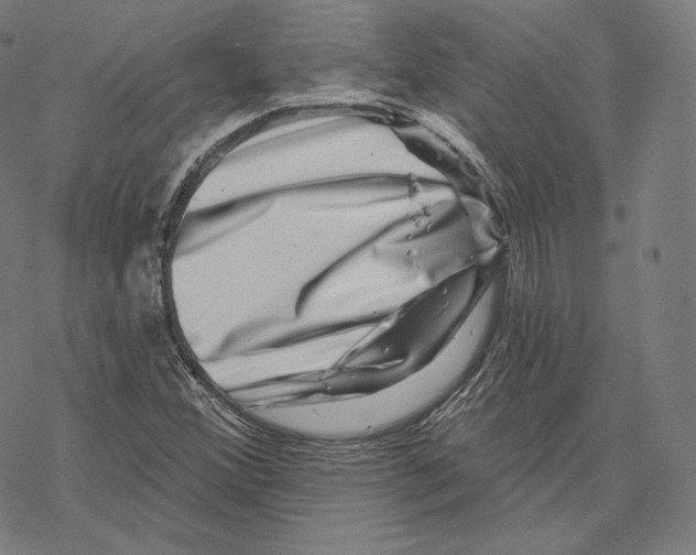 X0000067861356200605111723