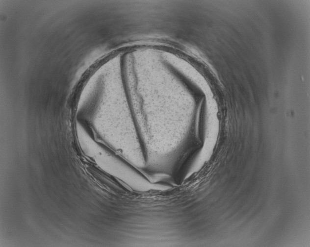 X0000067861360200605111723