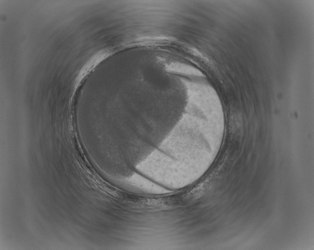 X0000067861362200605111723