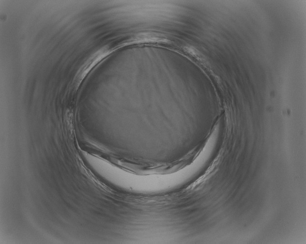 X0000067861369200605111723