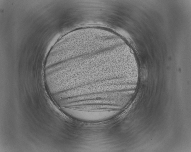 X0000067861374200605111723