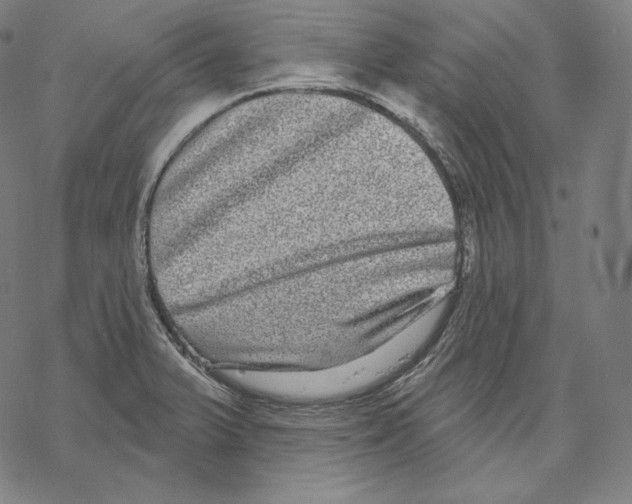 X0000067861375200605111723