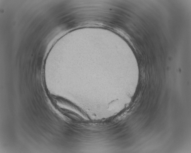 X0000067861379200605111723