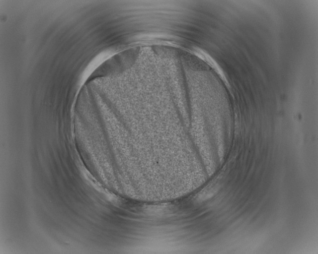 X0000067861386200605111722