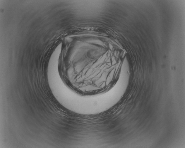 X0000067861394200605111722
