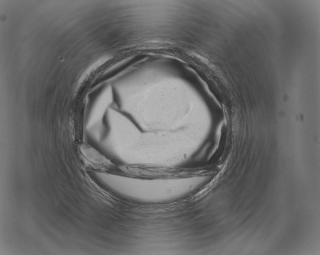 X0000067861402200605111722