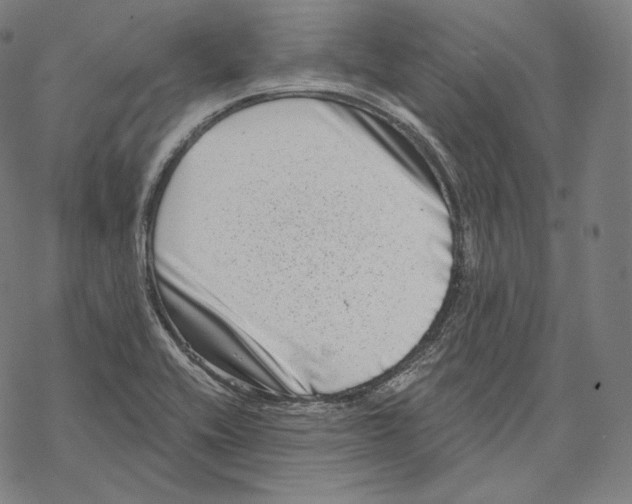X0000067861416200605111722