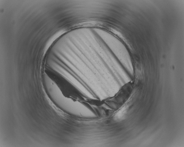 X0000067861426200605111722