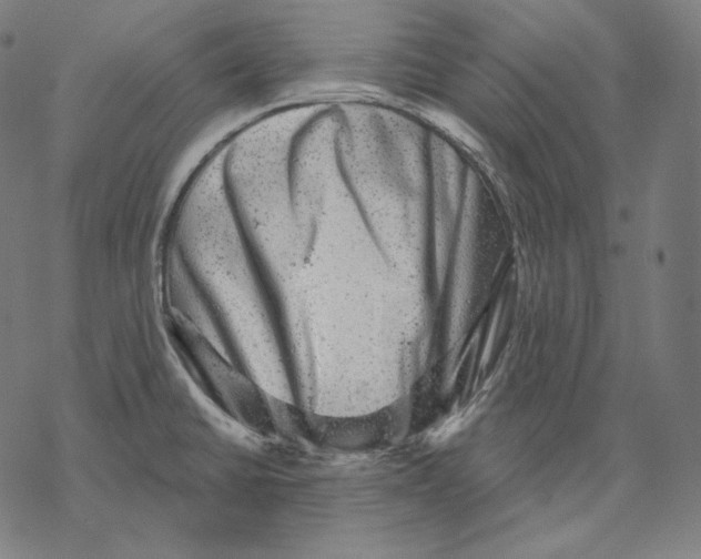 X0000067861430200605111722