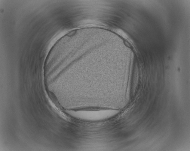 X0000067861431200605111722