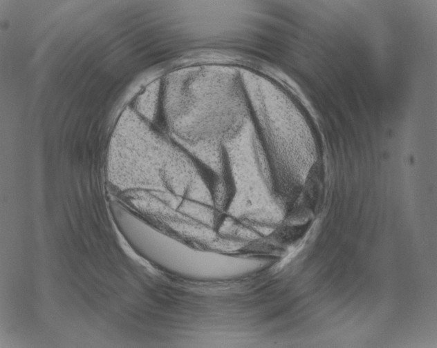 X0000067861433200605111722