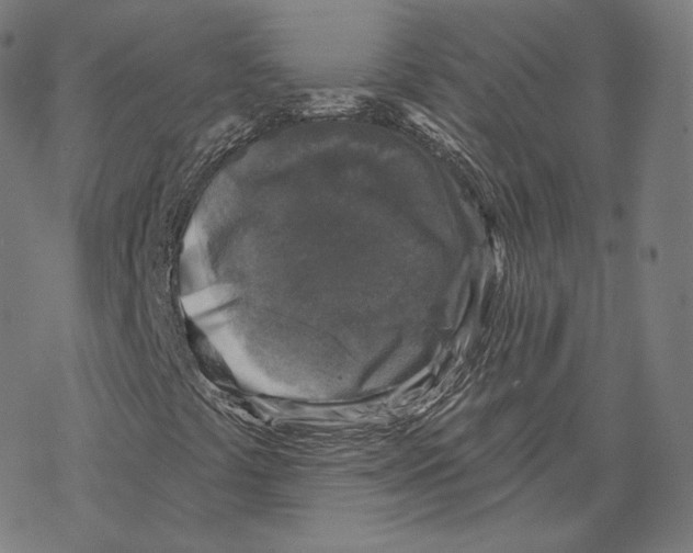 X0000067861441200605111721