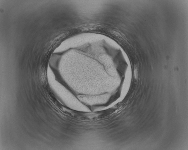 X0000067861444200605111721