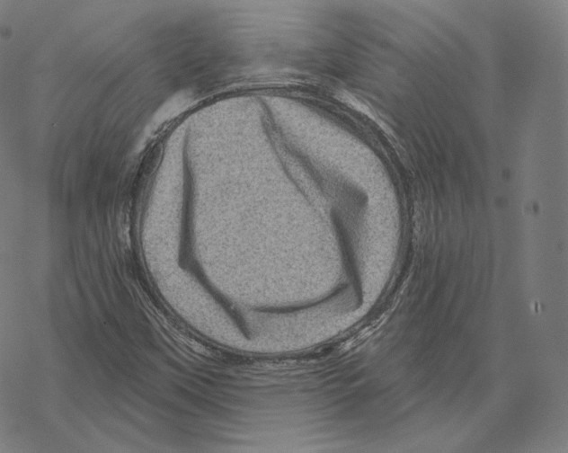 X0000067861451200605111721