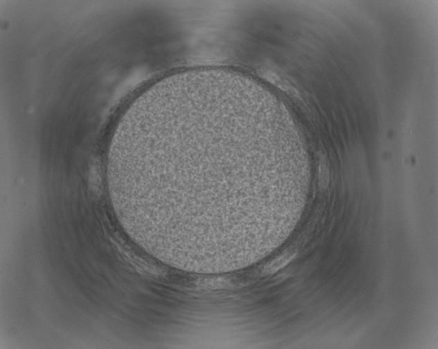 X0000067861454200605111721