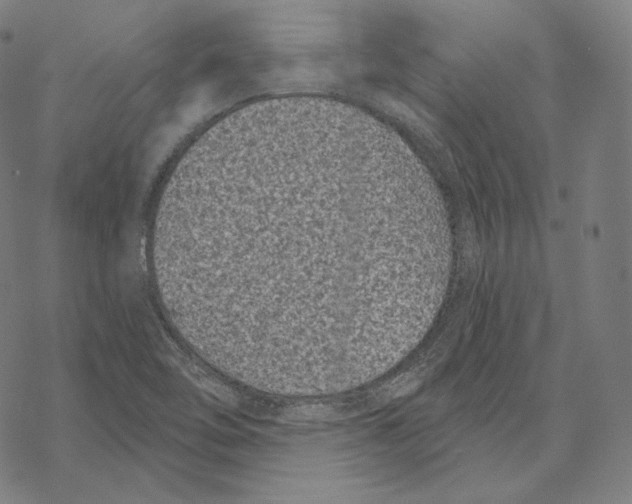 X0000067861462200605111721