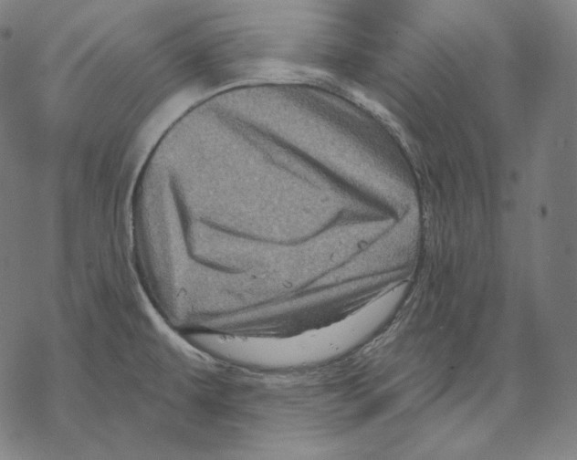 X0000067861479200605111721