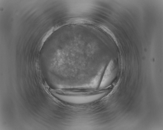 X0000067861481200605111721