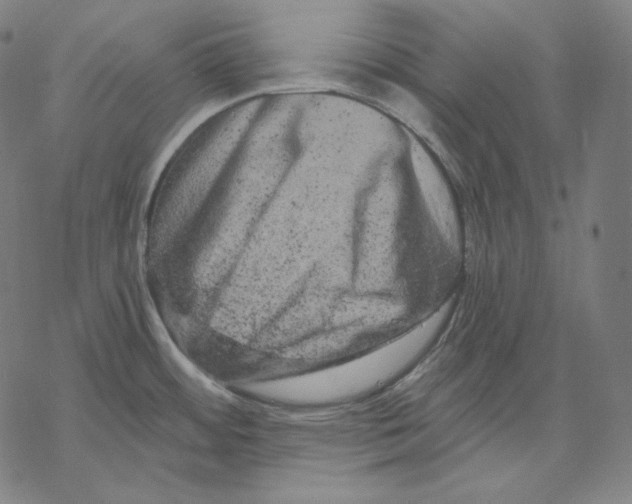 X0000067861484200605111721