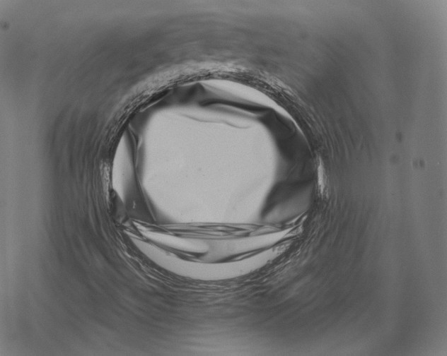 X0000067861492200605111720