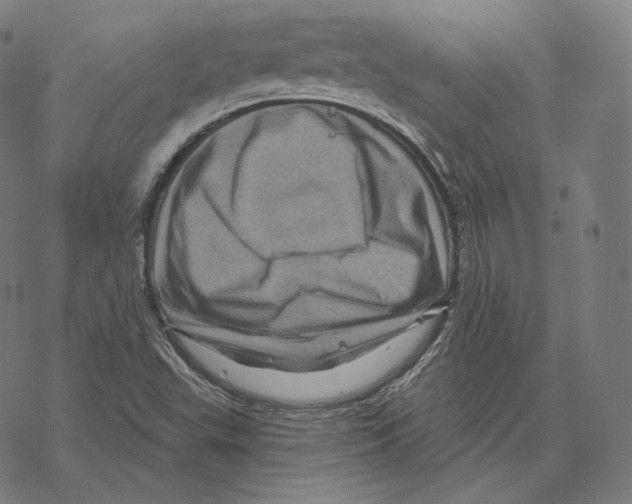 X0000067861503200605111720