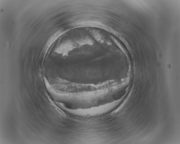 X0000067861529200605111720