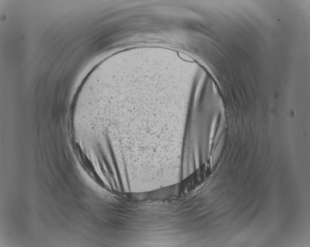 X0000067861531200605111721