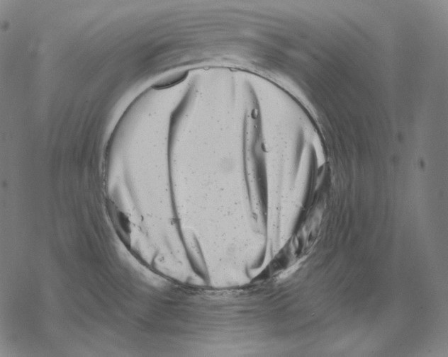 X0000067861532200605111721