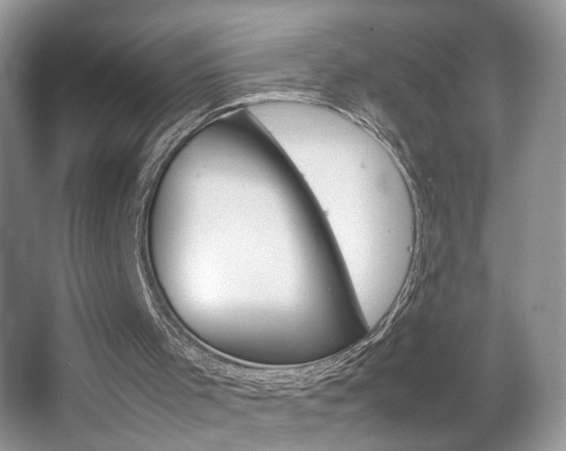 X0000067870001200604131027