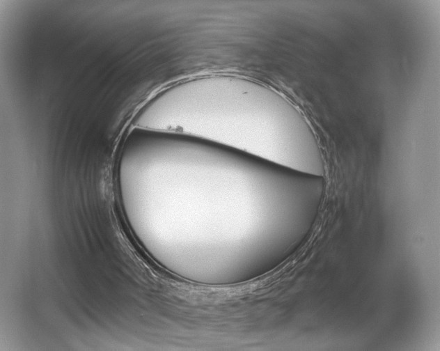 X0000067870002200604131027