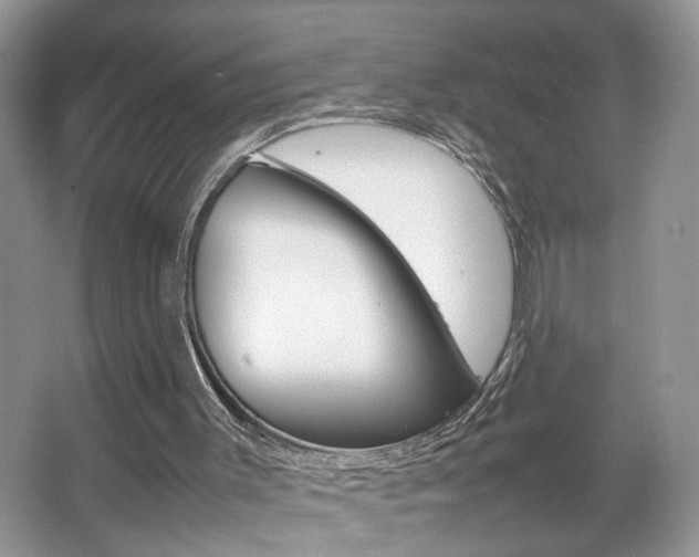 X0000067870003200604131027