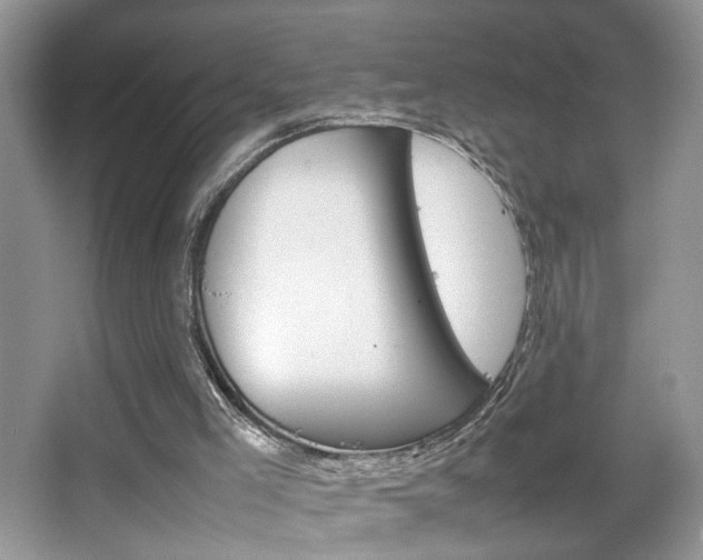 X0000067870005200604131027