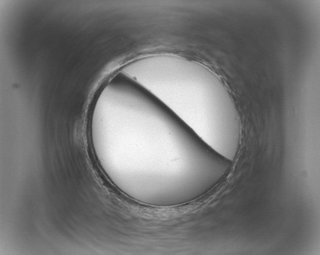 X0000067870006200604131027