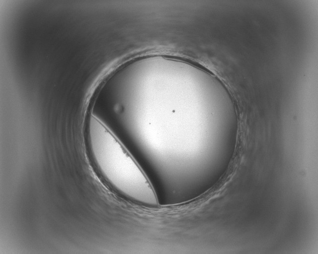 X0000067870007200604131027