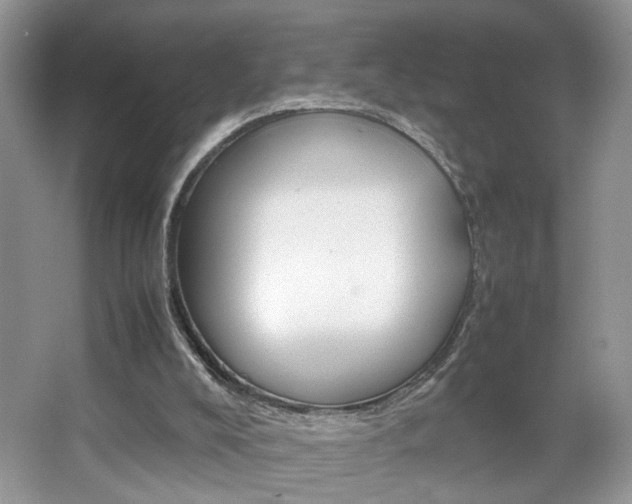 X0000067870008200604131027