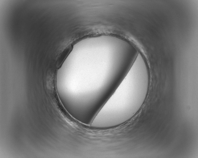 X0000067870009200604131027