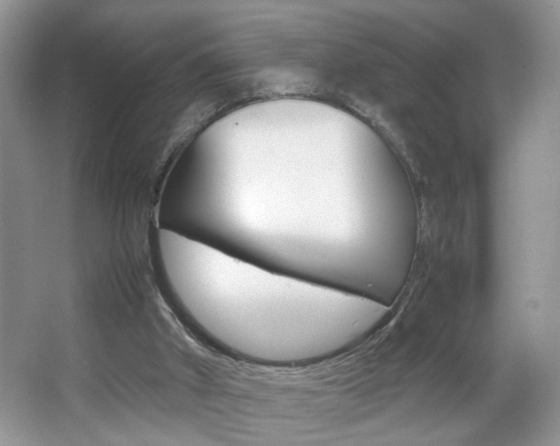 X0000067870010200604131027