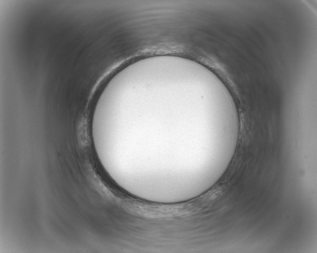 X0000067870012200604131026