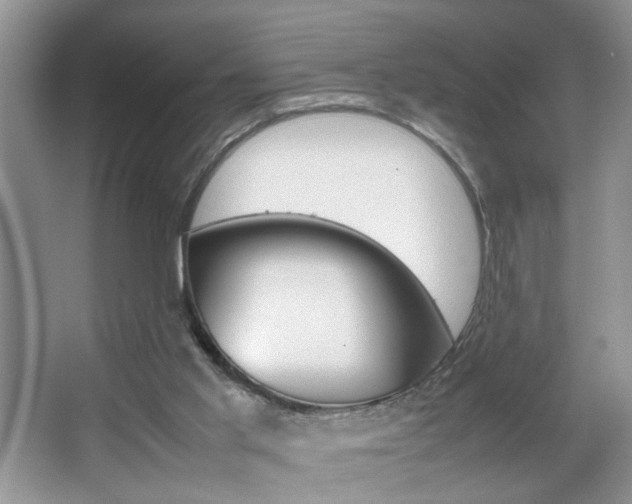 X0000067870013200604131026