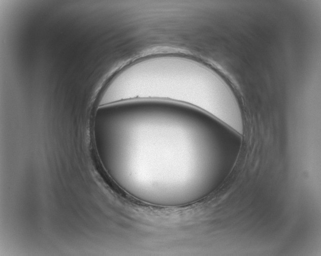 X0000067870015200604131026