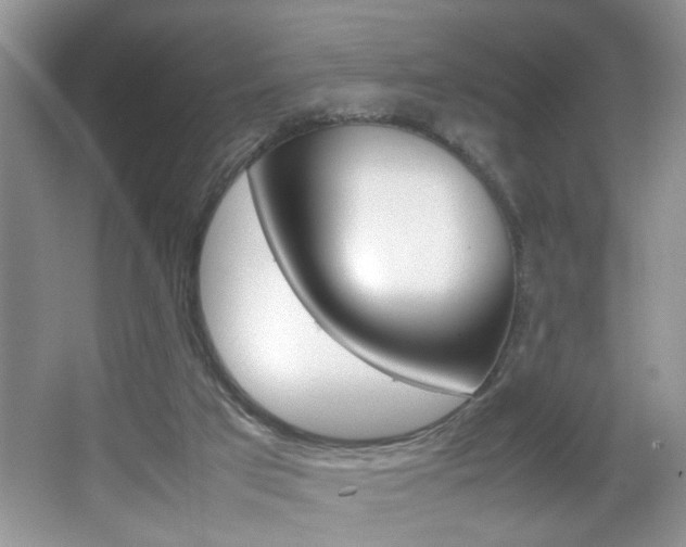 X0000067870017200604131026