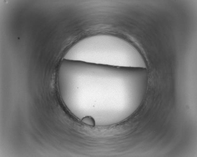 X0000067870018200604131026