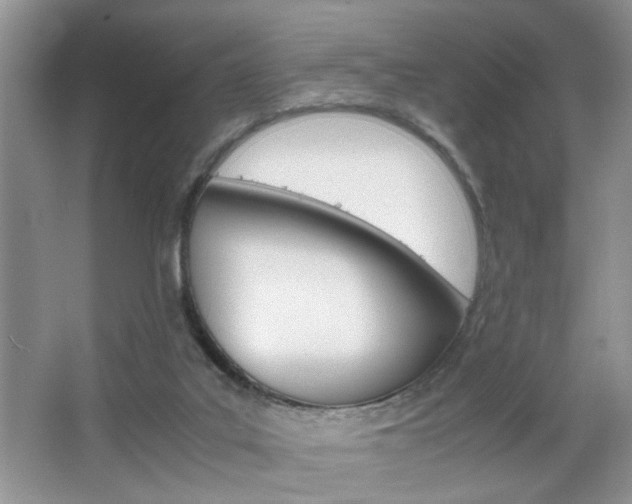 X0000067870019200604131026