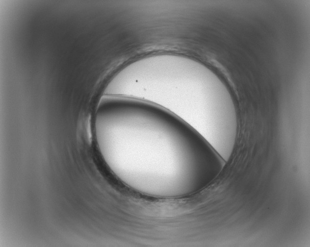 X0000067870020200604131026