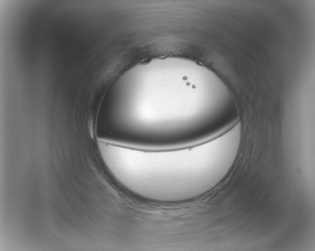 X0000067870021200604131026