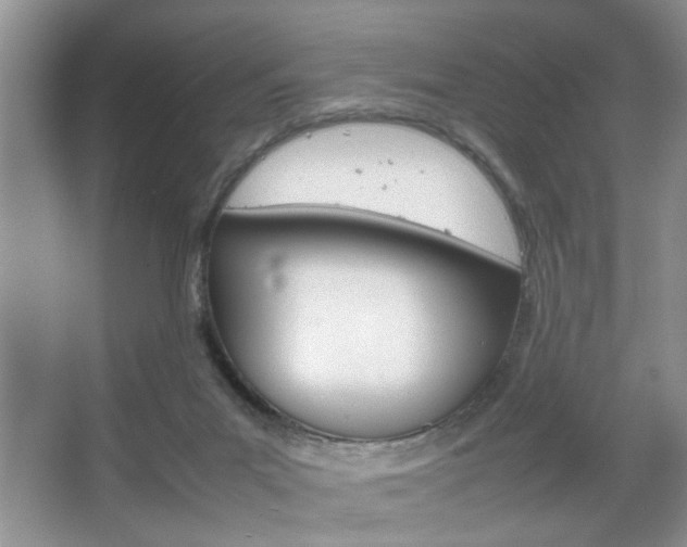 X0000067870023200604131026